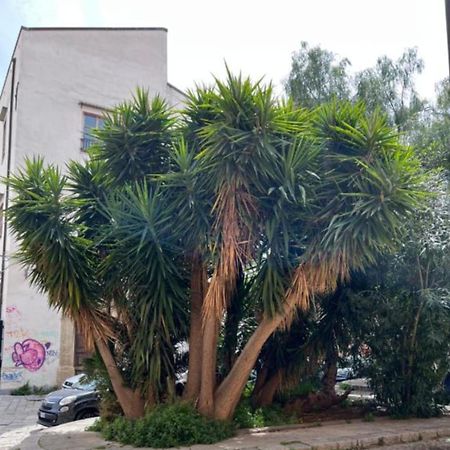 Sicily Guest House 2 巴勒莫 外观 照片